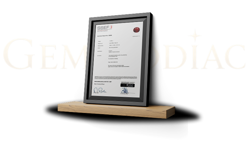 SSEF Certified certificate